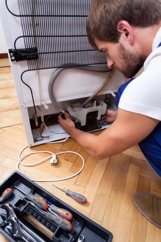 Refrigerator compressor check